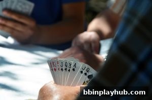 BBIN真人电子游艺：玩家心理与行为习惯的深度剖析