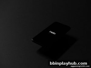 AG真人 bbinplayhub