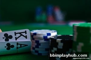 AG真人 bbinplayhub