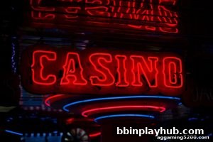 AG真人 bbinplayhub