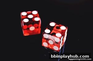 AG真人 bbinplayhub